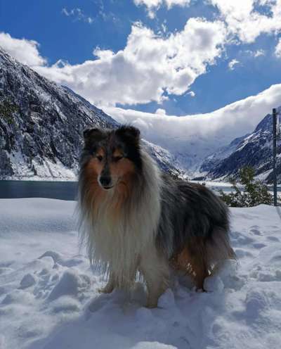 Fotochallenge 61 ~ Schnee-Beitrag-Bild