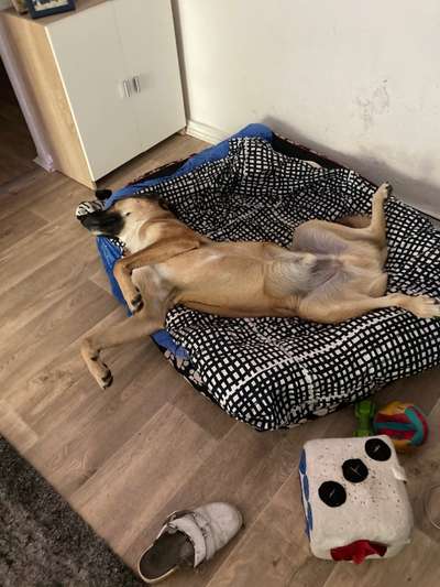 Fotochallenge Nr.65-Beitrag-Bild