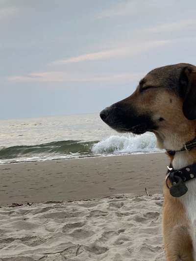 Fotochallenge Nr. 62 Romantische Momente-Beitrag-Bild