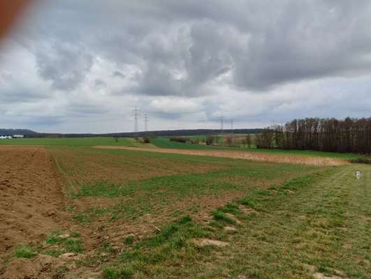 Hundeauslaufgebiet-Feldwege zwischen Bretten/Ruit/knittlingen-Bild