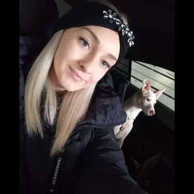 Hundetreffen-Gassirunde