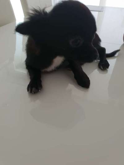 Foto Challenge 3-Beitrag-Bild