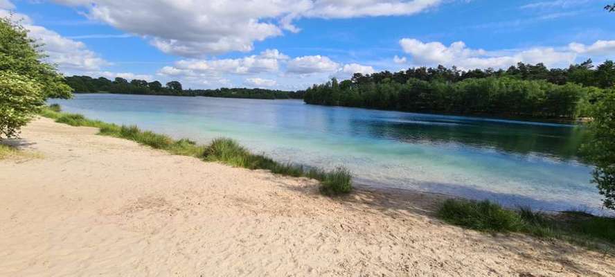 Hundeauslaufgebiet-Hundestrand am Dankernsee-Bild