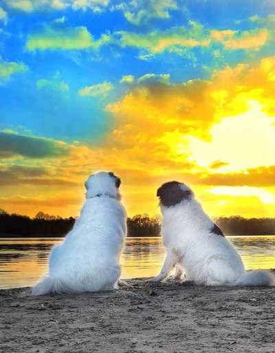 Eure Strandbilder :)-Beitrag-Bild