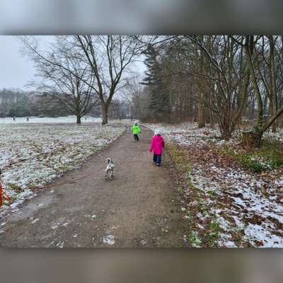 Challenge Nr. 15
Spiel im Schnee-Beitrag-Bild