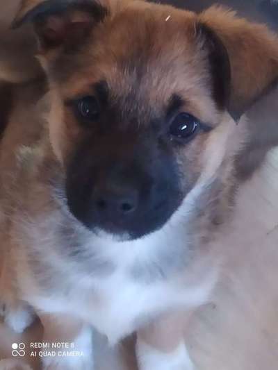 Von oben-Beitrag-Bild