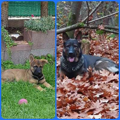 Vorher.... Nachher-Beitrag-Bild