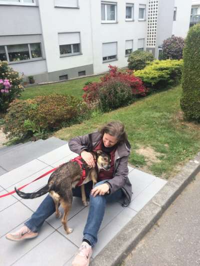 Erstes Bild-Beitrag-Bild