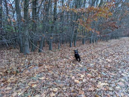 Her mit dem Grimassen-Beitrag-Bild