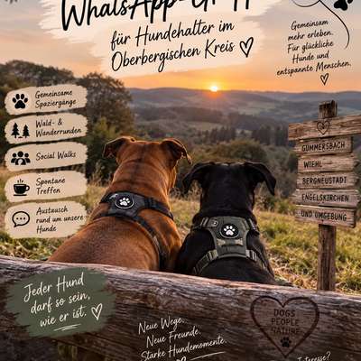 Hundetreffen-🐾 WhatsApp-Gruppe für Hundehalter im Oberbergischen Kreis-Bild