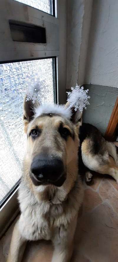 Moviestar-Pics!-Beitrag-Bild