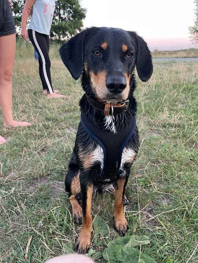 Doppelgänger gesucht !-Beitrag-Bild