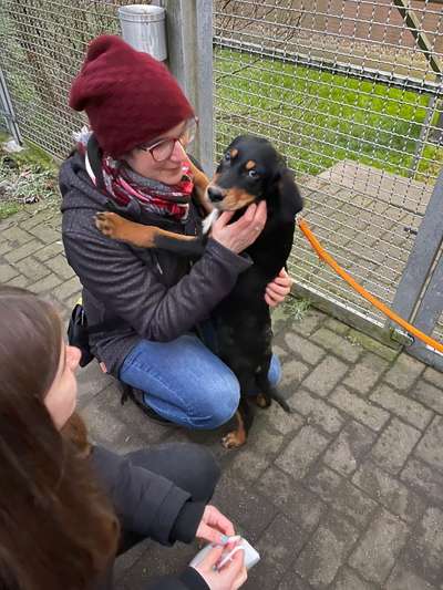 Das erste Bild eures Hundes-Beitrag-Bild