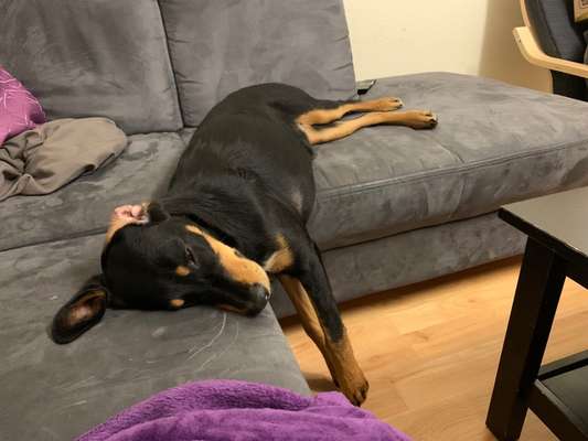 4. Lustiger Schlafplatz-Beitrag-Bild