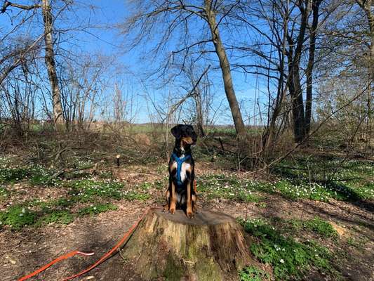 Foto Challenge Nr. 79-Beitrag-Bild