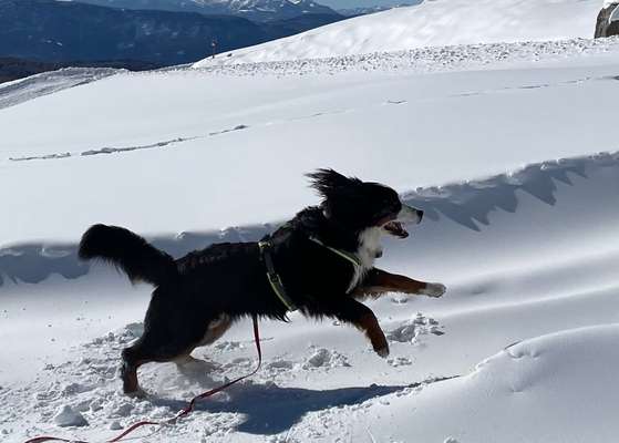 Dogorama Photo Challenge - Es wird nochmal kalt!-Beitrag-Bild