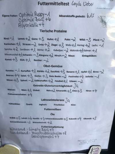 Hund mäkelig-Beitrag-Bild