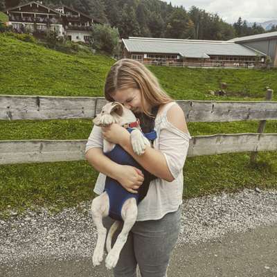Hundetreffen-Sanza sucht Fellnase zum toben und spielen-Profilbild