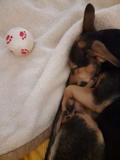 Gemeinsames Kuscheln im Bett!-Beitrag-Bild