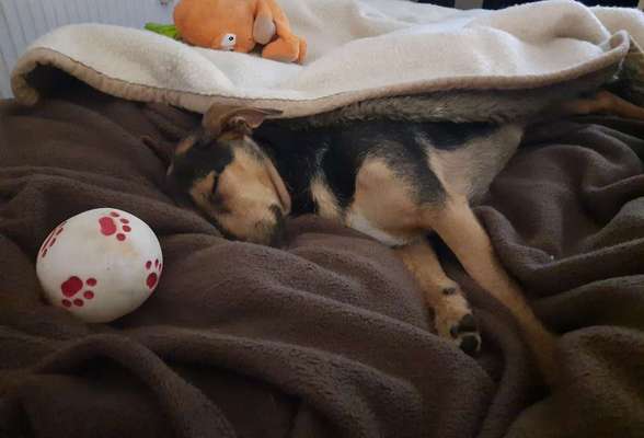 Gemeinsames Kuscheln im Bett!-Beitrag-Bild