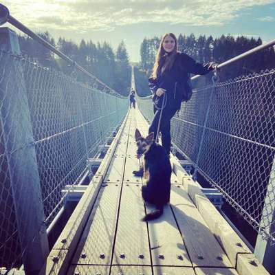 Die Dogorama Wochen Challenge: “Dein Hund im Urlaub”-Beitrag-Bild