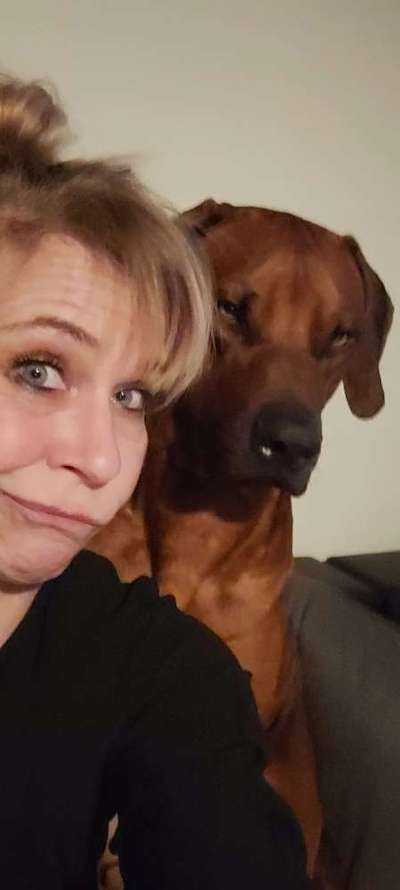 Rhodesian Ridgeback-Beitrag-Bild