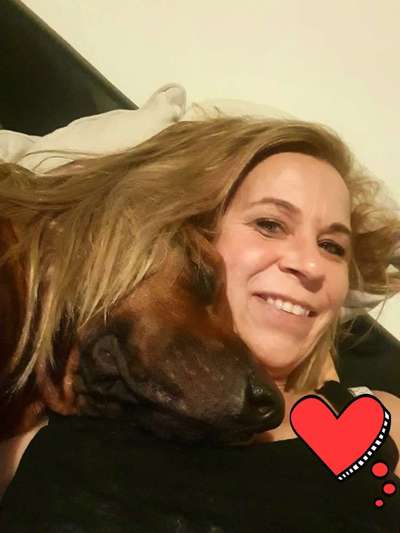 Rhodesian Ridgeback-Beitrag-Bild