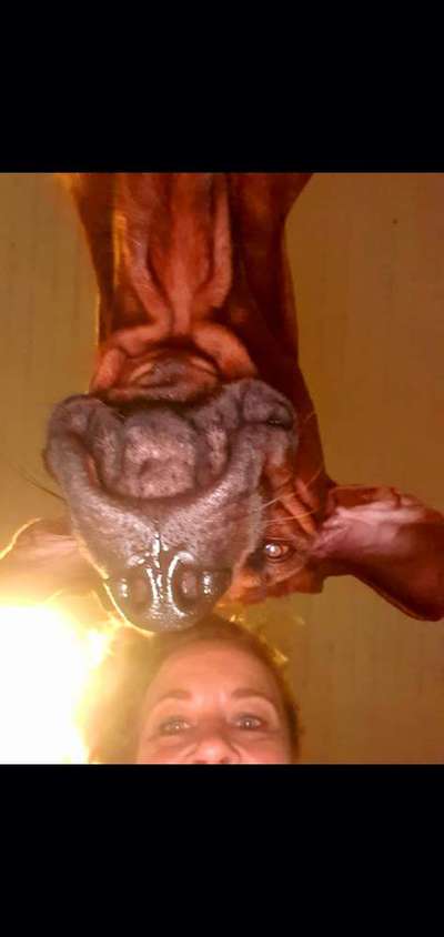 !!SELFIE MIT DEINEM LIEBLING!!-Beitrag-Bild