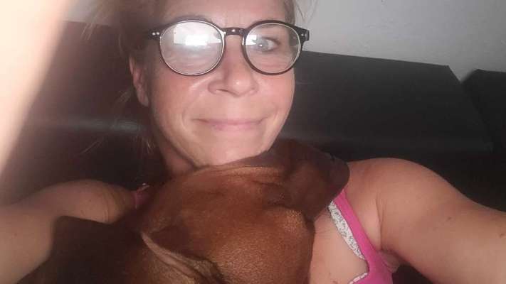 Rhodesian Ridgeback-Beitrag-Bild