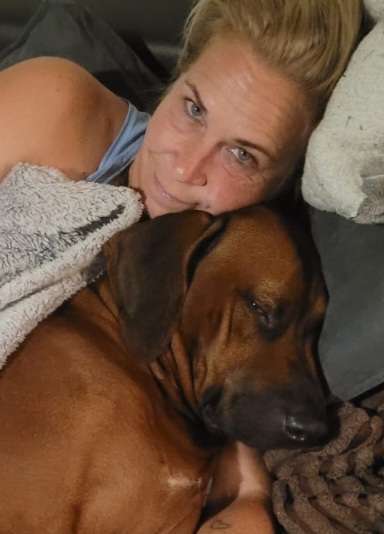 Rhodesian Ridgeback-Beitrag-Bild