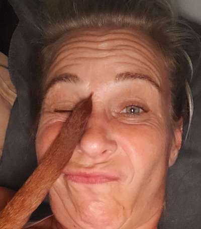 Rhodesian Ridgeback-Beitrag-Bild