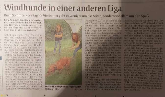 Rhodesian Ridgeback-Beitrag-Bild