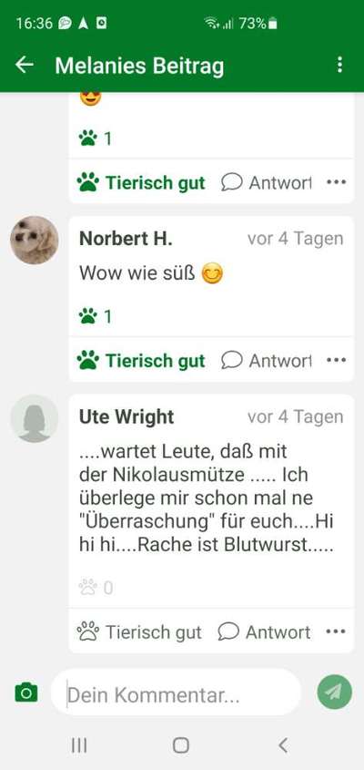 Rhodesian Ridgeback-Beitrag-Bild