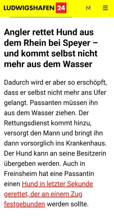 Rhodesian Ridgeback-Beitrag-Bild