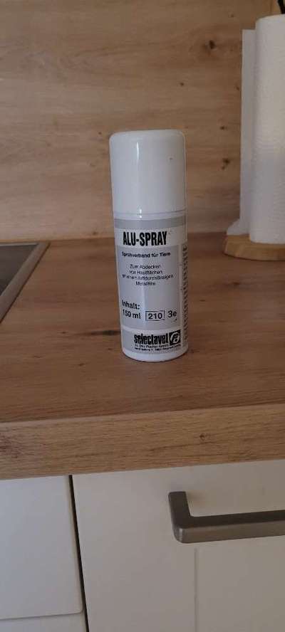 Rhodesian Ridgeback-Beitrag-Bild