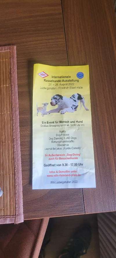 Rhodesian Ridgeback-Beitrag-Bild