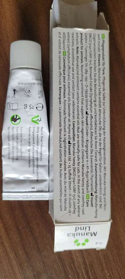 Rhodesian Ridgeback-Beitrag-Bild