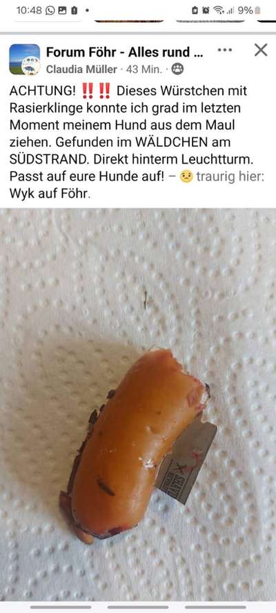 Giftköder-Würstchen mit Rasierklingen präpariert-Bild
