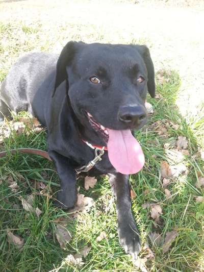 DNA-Tests-Beitrag-Bild