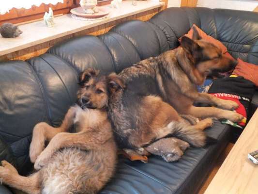 Die unbequemsten und lustigsten Schlafpositionen-Beitrag-Bild