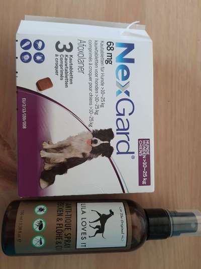 Floh und Zeckenmittel-Beitrag-Bild