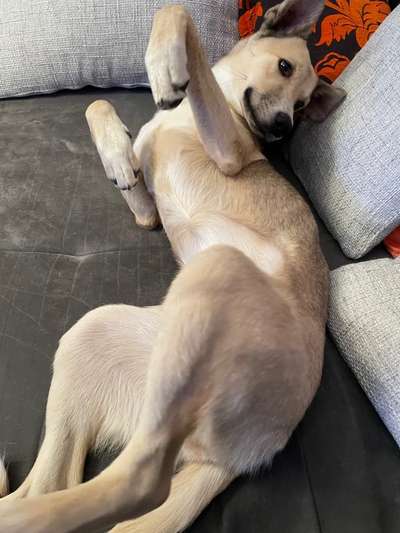 Fotochallenge Nr.65-Beitrag-Bild