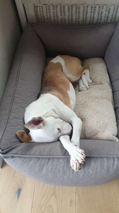 Die unbequemsten und lustigsten Schlafpositionen-Beitrag-Bild