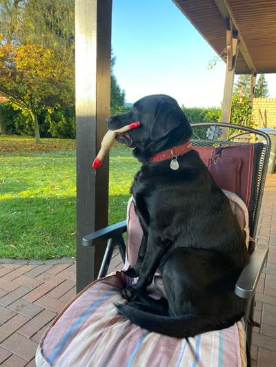 Fotochallenge Nr. 67: Euer Lieblingsbild-Beitrag-Bild