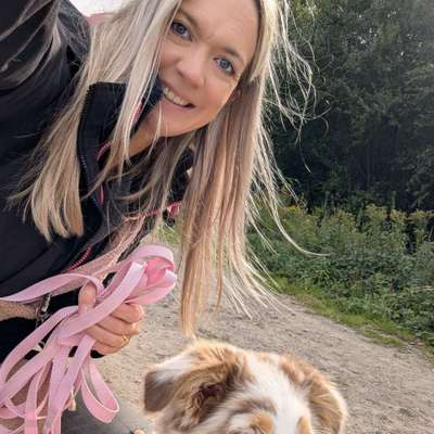 Hundetreffen-Playdate