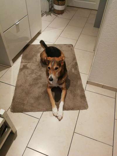 KRITIKOS LAGONIKOS-Beitrag-Bild