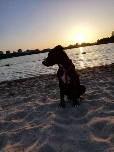 Eure Strandbilder :)-Beitrag-Bild