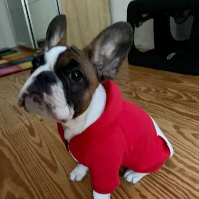 Pullis, Jacken, Hütte und alles sonstiges-Beitrag-Bild