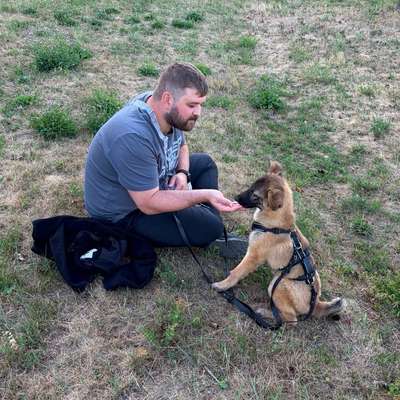 Hundetreffen-Gassitreffen