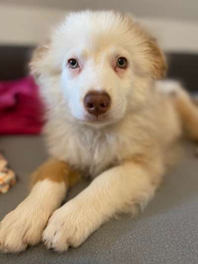 Fotochallange Nr. 57     PORTRÄT.   Beendet!!!!!!!!-Beitrag-Bild